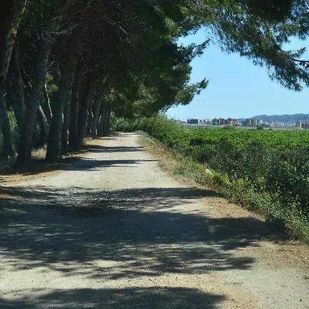 Casa Del Riu. * Riola
