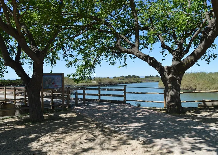 Casa Del Riu. בית נופש Riola
